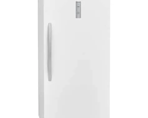 frigidiare 20 ft 1.webp