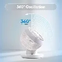 GUEST_80863d15-bd40-4f1b-a14e-02e856daf8d7.webp